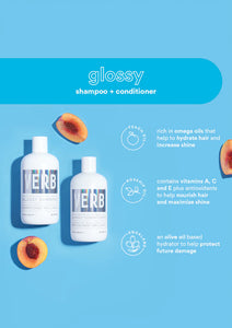 Verb Glossy Shampoo